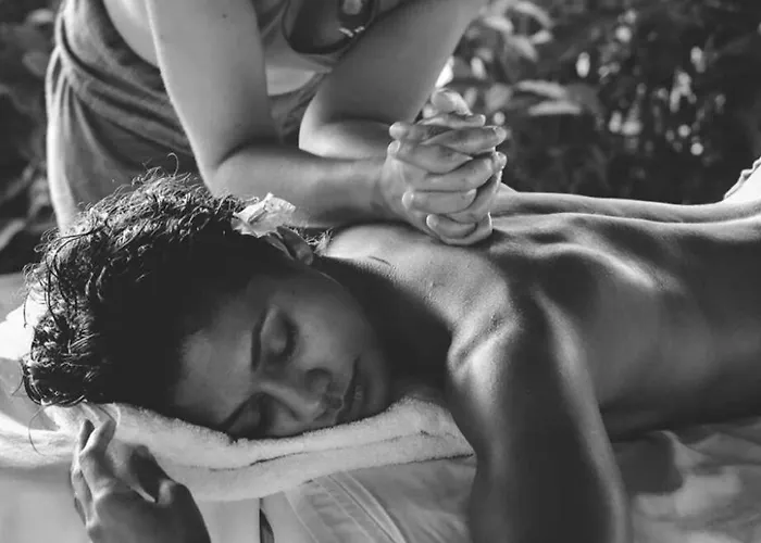 Aparthotel Milmari N12 Kopaonik